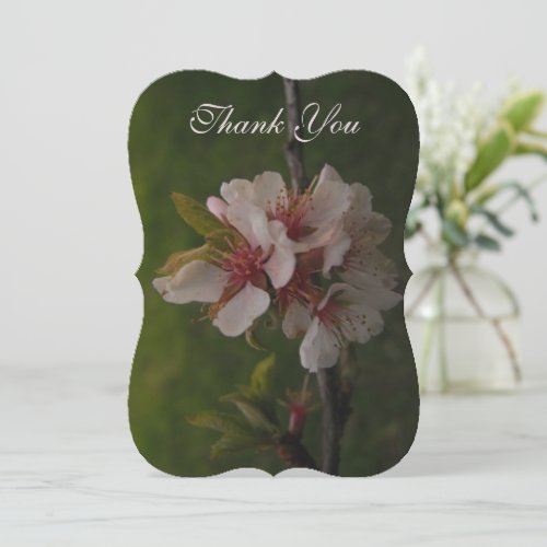 Cherry Blossoms Floral Photo Elegant Script  Thank You Card