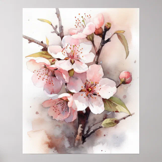 Cherry Blossoms Flower Art Print Poster | Zazzle