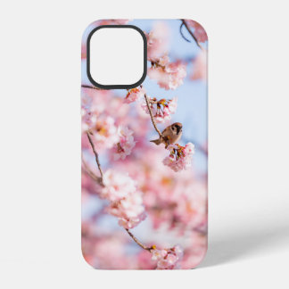 Cherry Blossoms Gift Box iPhone 12 Case