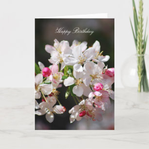 Cherry blossoms happy birthday card