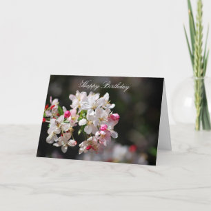 Cherry blossoms happy birthday card