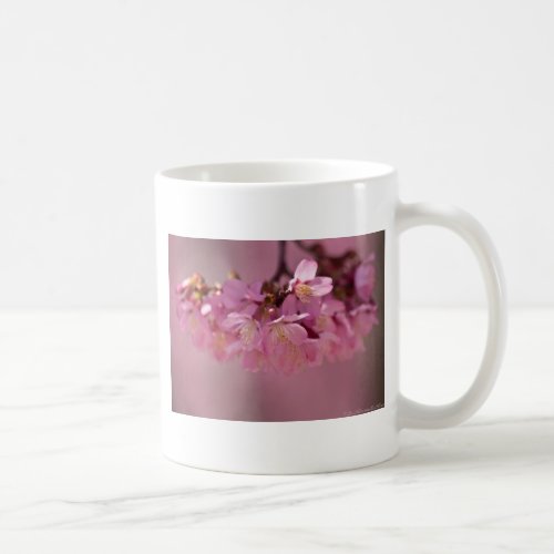 Cherry Blossoms Hot Spring  2012 Apparel   Gifts Coffee Mug