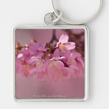 Cherry Blossoms Hot Spring  2012 Apparel  & Gifts Keychain by leehillerloveadvice at Zazzle