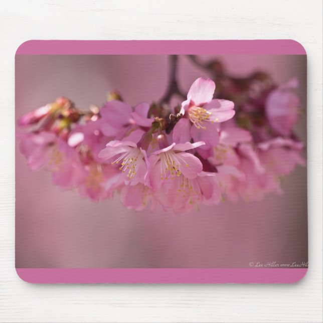 Cherry Blossoms Hot Spring  2012 Apparel  & Gifts Mouse Pad (Front)