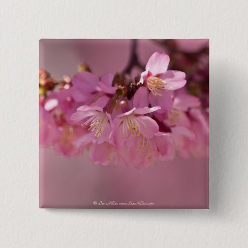 Cherry Blossoms Hot Spring  2012 Apparel   Gifts Pinback Button