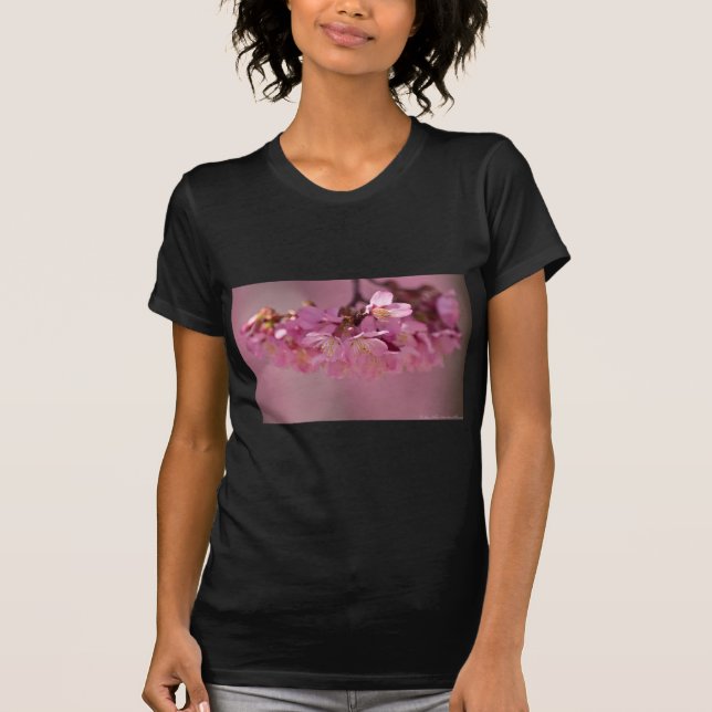 Cherry Blossoms Hot Spring  2012 Apparel  & Gifts T-Shirt (Front)
