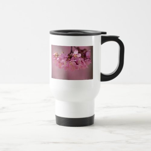 Cherry Blossoms Hot Spring  2012 Apparel   Gifts Travel Mug