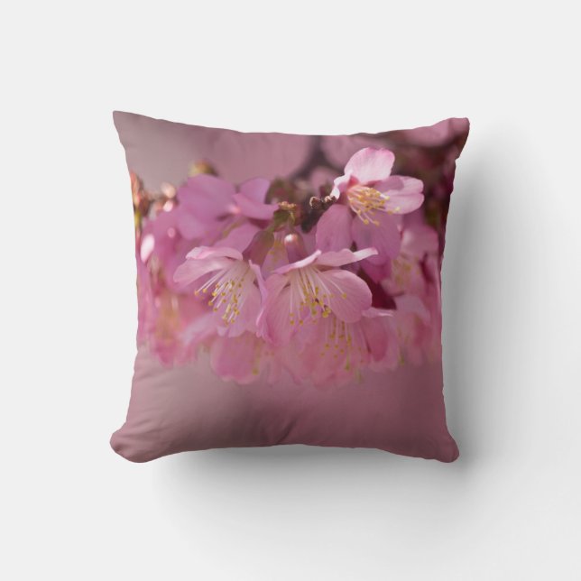 Cherry Blossoms Hot Spring  2012 Throw Pillow (Front)