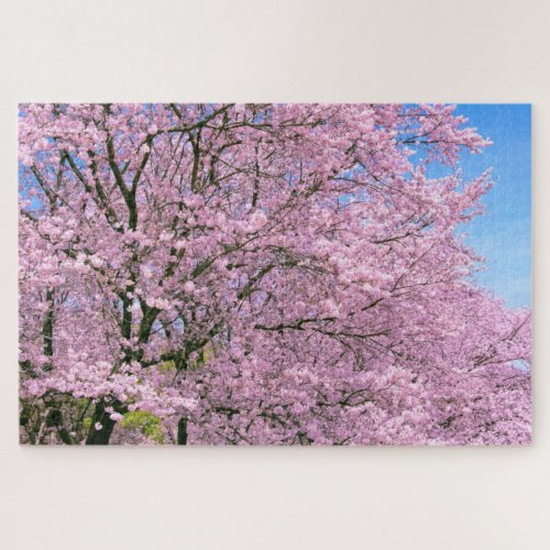 Cherry Blossoms in Bloom Jigsaw Puzzle