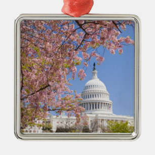 Cherry blossoms in front of Capitol building Metal Ornament