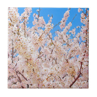 Cherry Blossoms in Full Bloom Ceramic Tile