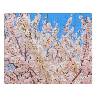 Cherry Blossoms in Full Bloom Jigsaw Puzzle