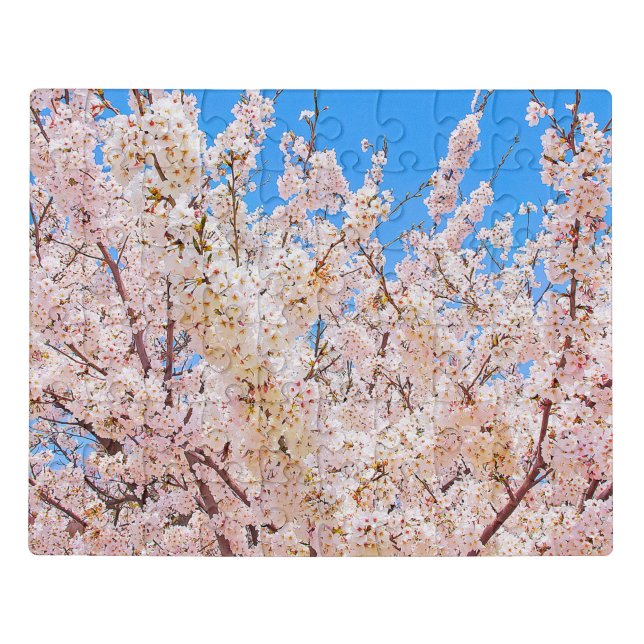 Cherry Blossoms in Full Bloom Jigsaw Puzzle (Puzzle Horizontal)
