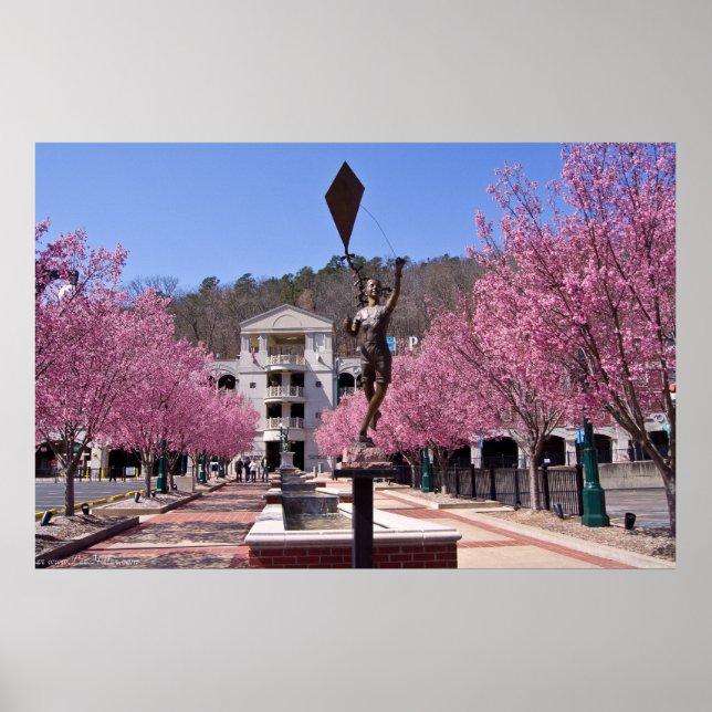 Cherry Blossoms in Hot Springs Arkansas Poster (Front)