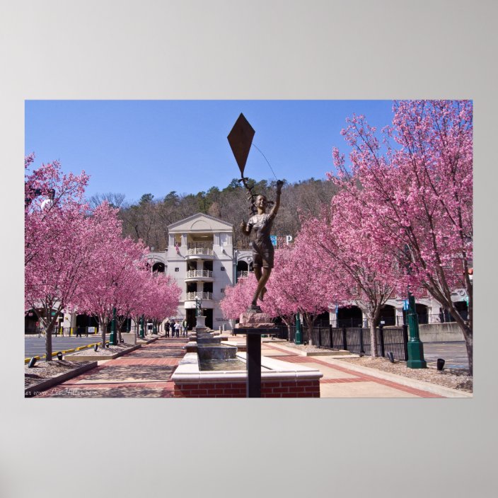 Cherry Blossoms in Hot Springs Arkansas Poster