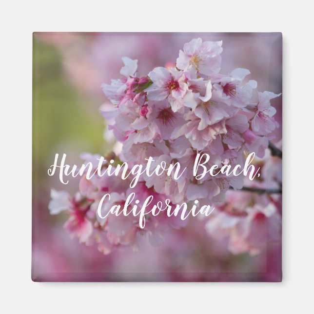 Cherry Blossoms in Huntington Beach Magnet (Front)