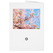 Cherry Blossoms in Japan Card (Back)