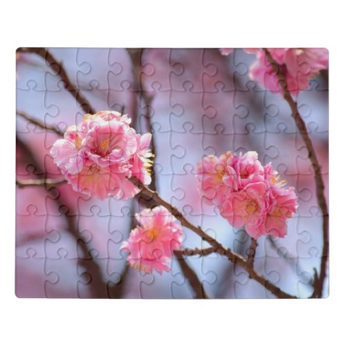 Cherry Blossoms in Seoul Korea Jigsaw Puzzle