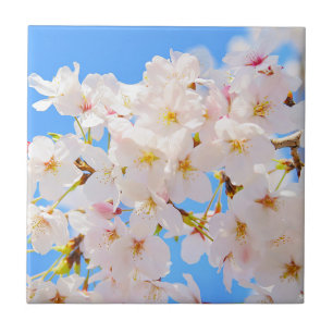 Cherry Blossoms in Spring Ceramic Tile