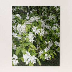 Cherry Blossoms in the Shade and in the Light Jigsaw Puzzle