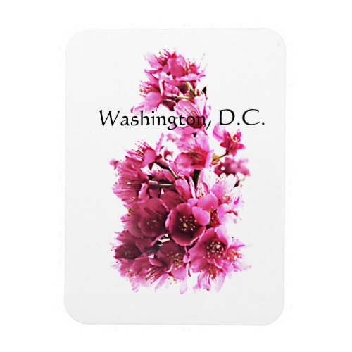 Cherry blossoms in Washington DC Magnet