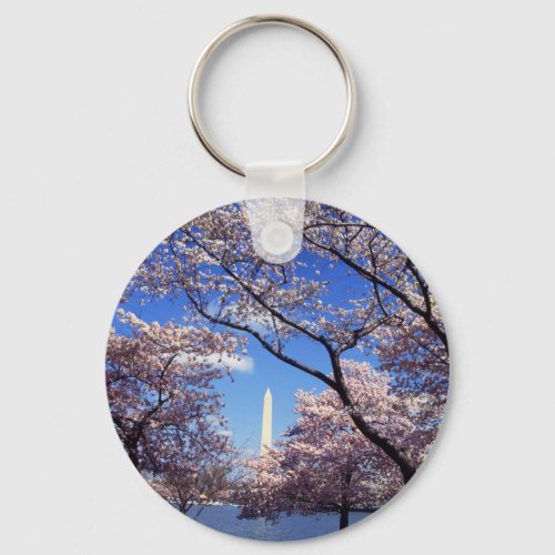 Cherry Blossoms in Washington DC keychain