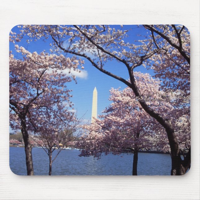Cherry Blossoms in Washington DC mousepad (Front)
