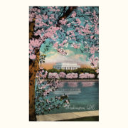 Cherry Blossoms in Washington DC Poster