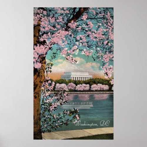 Cherry Blossoms in Washington DC Poster
