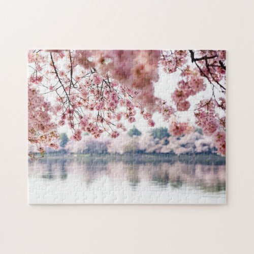 Cherry Blossoms Jigsaw Puzzle