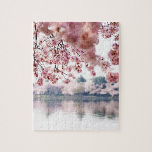 Cherry Blossoms Jigsaw Puzzle