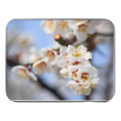 Cherry Blossoms Jigsaw Puzzle (Case Horizontal)