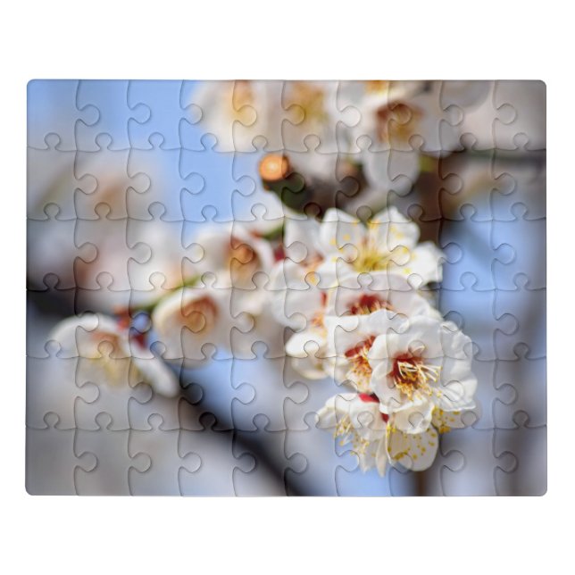 Cherry Blossoms Jigsaw Puzzle (Puzzle Horizontal)