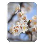 Cherry Blossoms Jigsaw Puzzle (Lid Vertical)