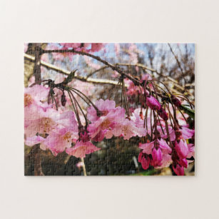 Cherry Blossom Jigsaw Puzzles | Zazzle