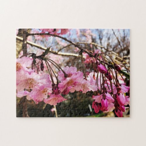 Cherry Blossoms Jigsaw Puzzle