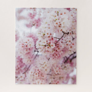 Cherry Blossoms Jigsaw Puzzle