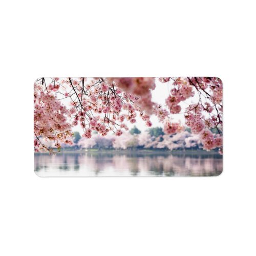 Cherry Blossoms Label