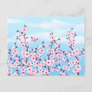 Cherry Blossoms Landscape Postcard
