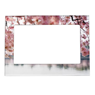Cherry Blossoms Magnetic Frame