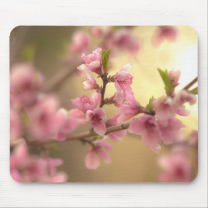Cherry Blossoms Mouse Pad