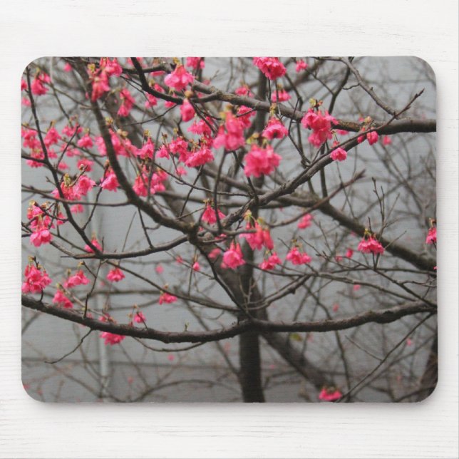 Cherry Blossoms Mouse Pad (Front)