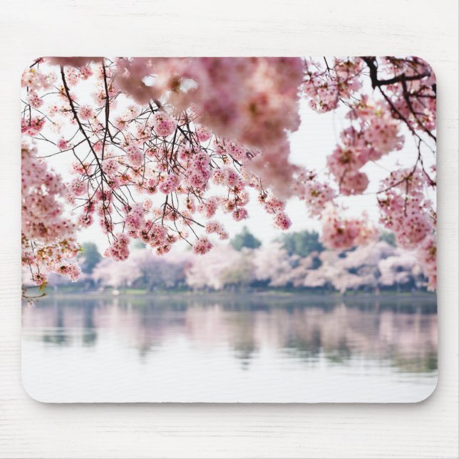 Cherry Blossoms Mouse Pad (Front)