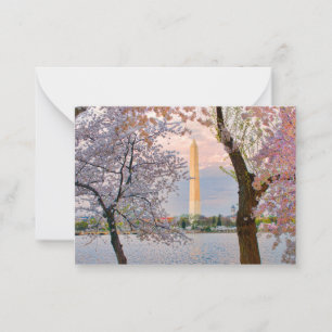 Cherry Blossoms Note Card