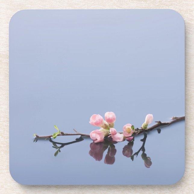 Cherry blossoms on water beverage coaster (Front)