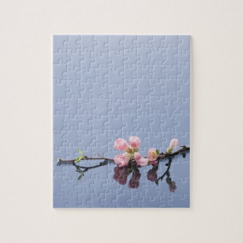 Cherry blossoms on water jigsaw puzzle