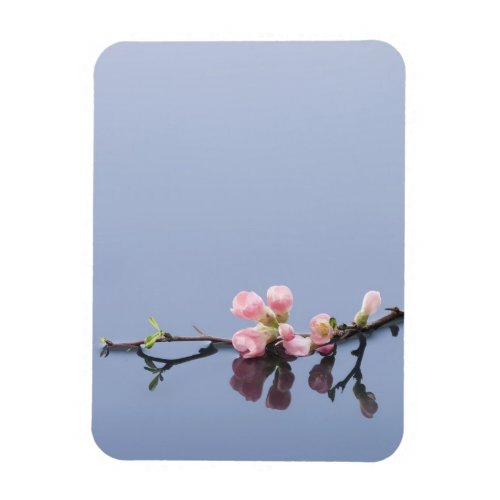 Cherry blossoms on water magnet