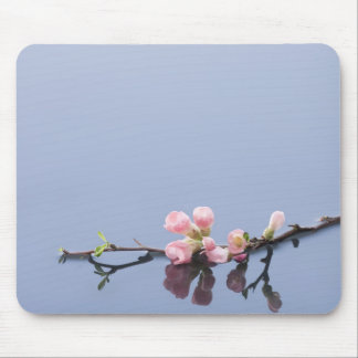 Cherry blossoms on water mouse pad