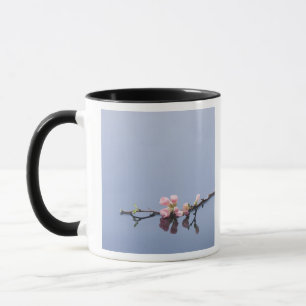 Cherry blossoms on water mug