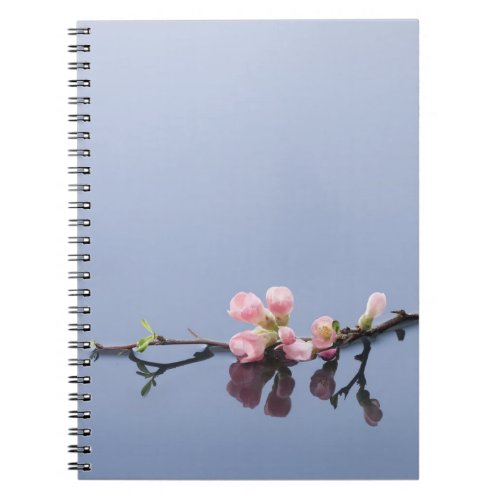 Cherry blossoms on water notebook